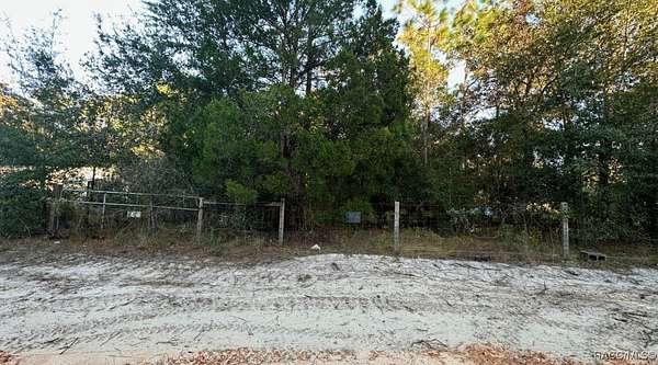 1 Acre of Residential Land for Sale in Crystal River, Florida