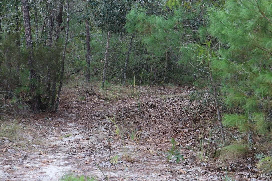 5.2 Acres of Residential Land for Sale in Dunnellon, Florida