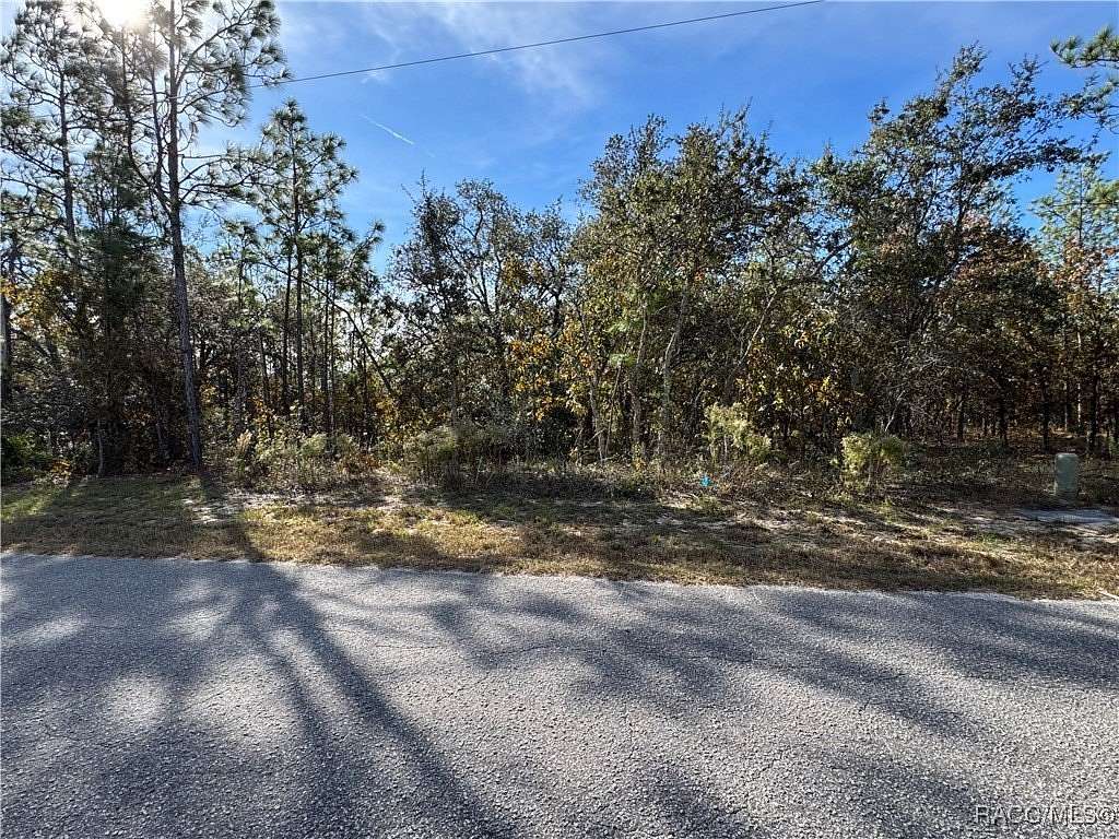 0.28 Acres of Residential Land for Sale in Homosassa, Florida