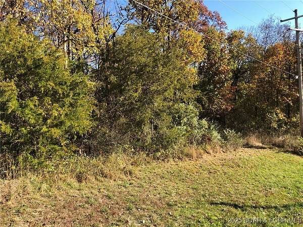 2.73 Acres of Residential Land for Sale in Versailles, Missouri