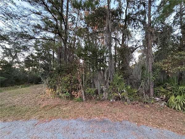 0.59 Acres of Residential Land for Sale in Brunswick, Georgia