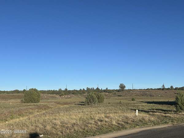 0.2 Acres of Residential Land for Sale in Show Low, Arizona