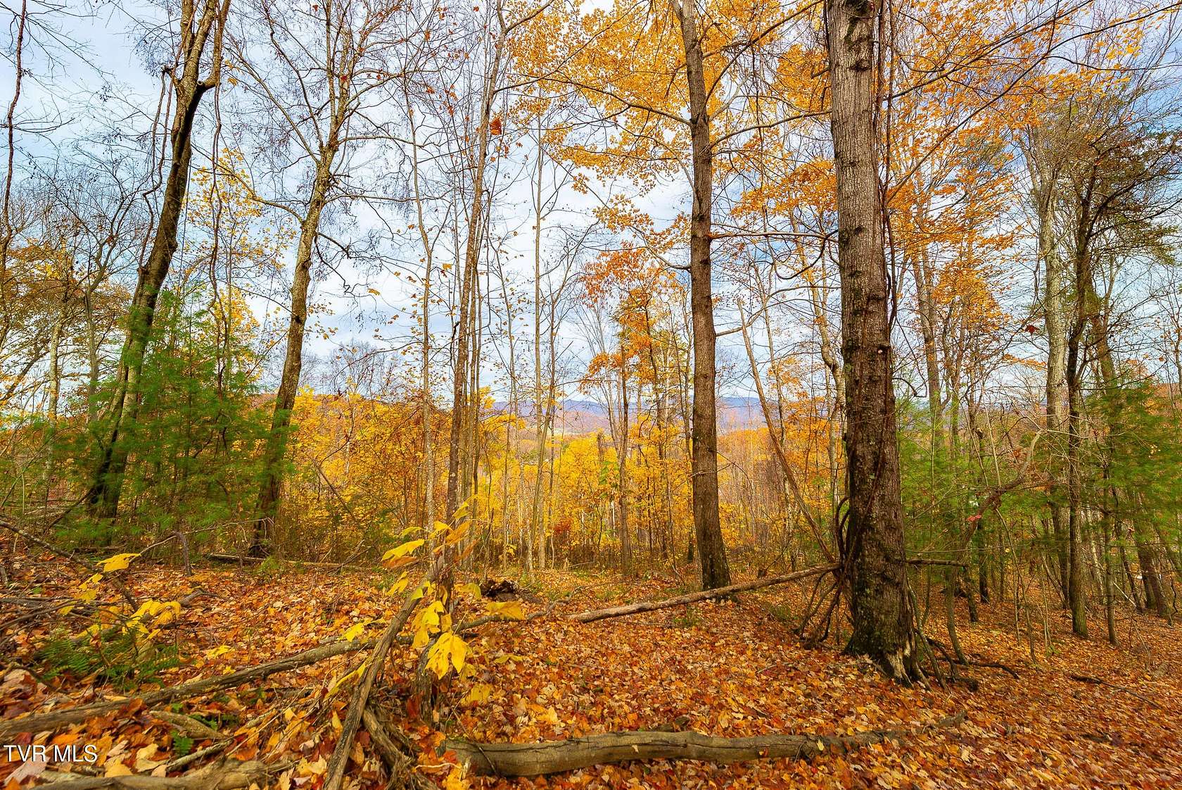 16.7 Acres of Land for Sale in Elizabethton, Tennessee