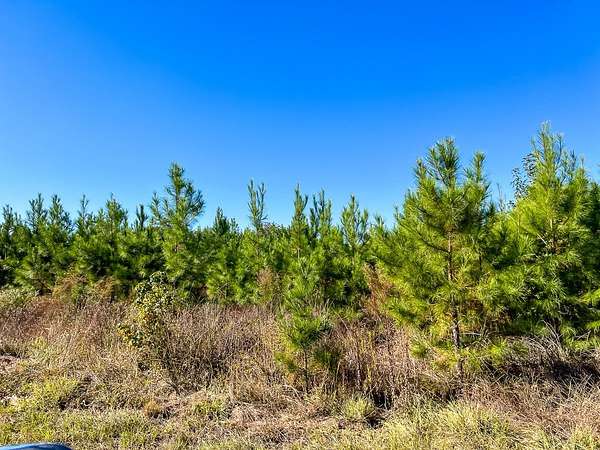 13 Acres of Land for Sale in Votaw, Texas