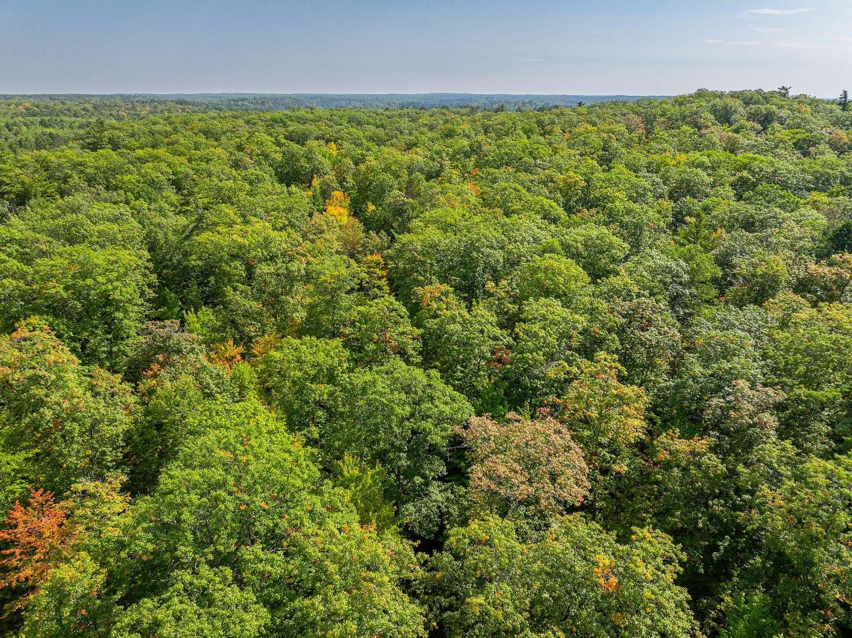 4.1 Acres of Residential Land for Sale in Hazelhurst, Wisconsin