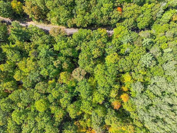 4 Acres of Residential Land for Sale in Hazelhurst, Wisconsin