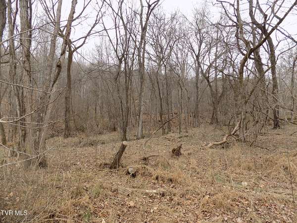 10.8 Acres of Land for Sale in Mooresburg, Tennessee