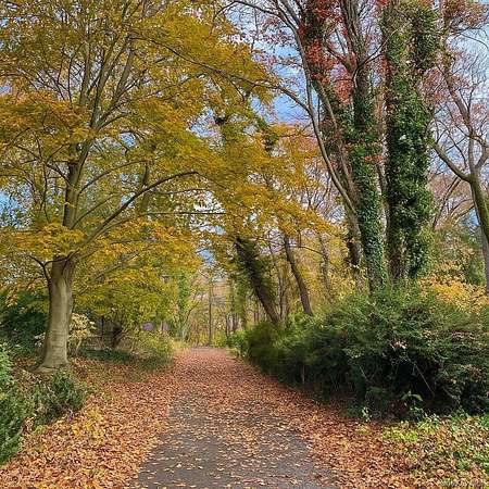 2 Acres of Residential Land for Sale in Upper Brookville, New York