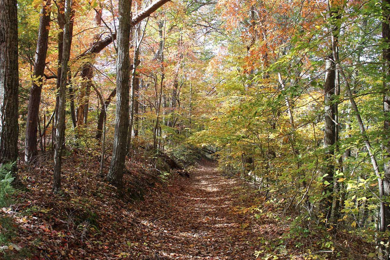 10.5 Acres of Land for Sale in Russell Springs, Kentucky