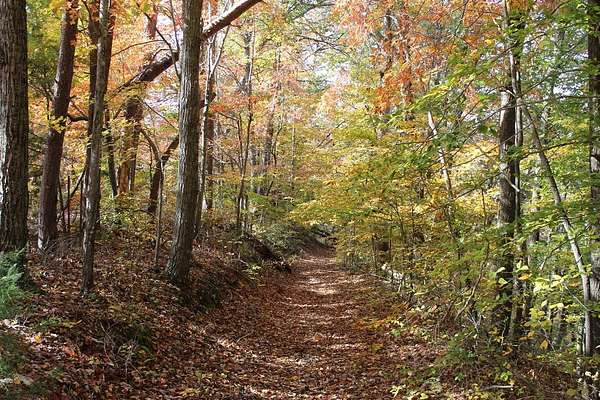 10.5 Acres of Land for Sale in Russell Springs, Kentucky