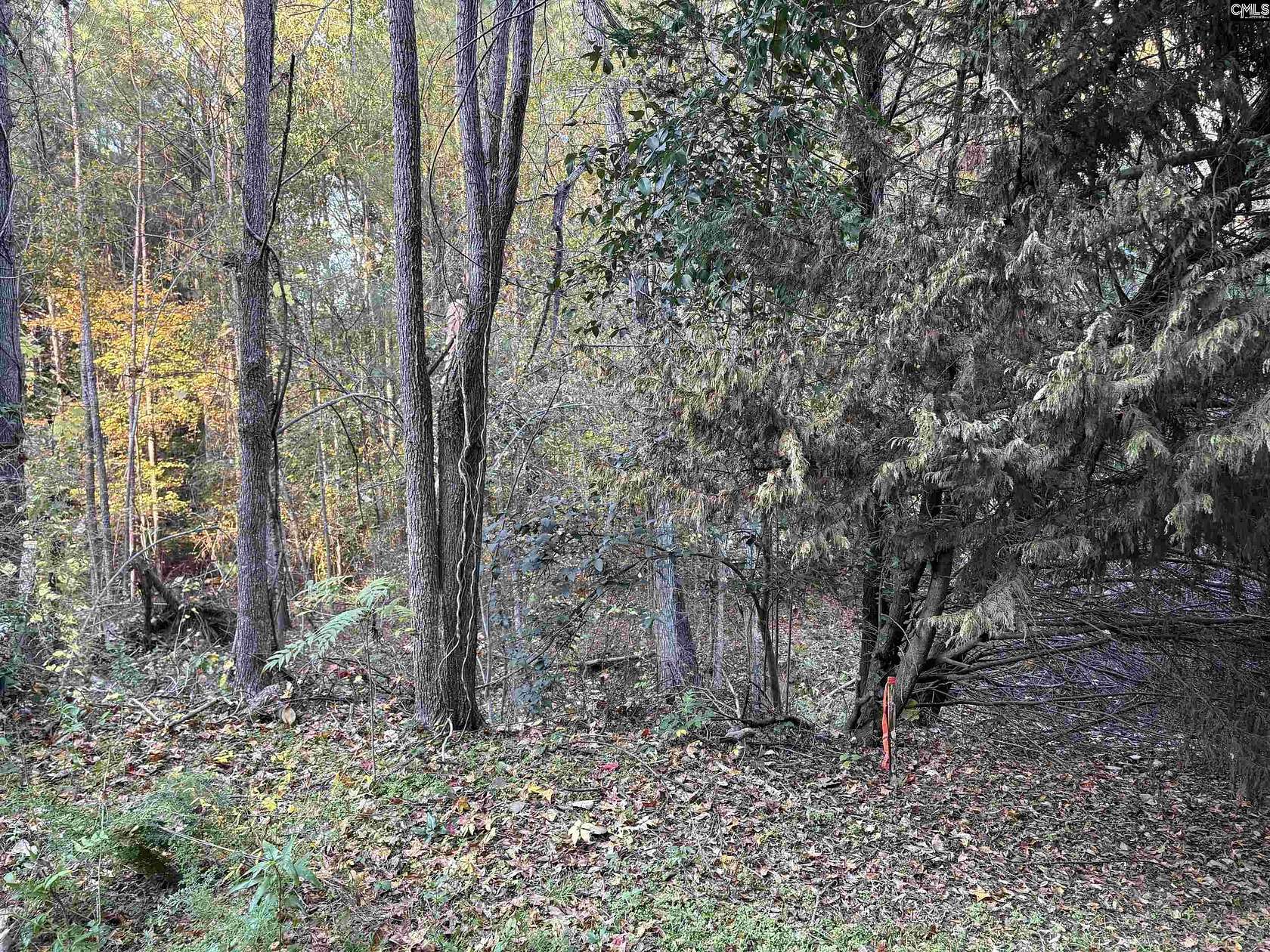 0.91 Acres of Land for Sale in Columbia, South Carolina