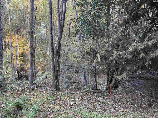 0.91 Acres of Land for Sale in Columbia, South Carolina