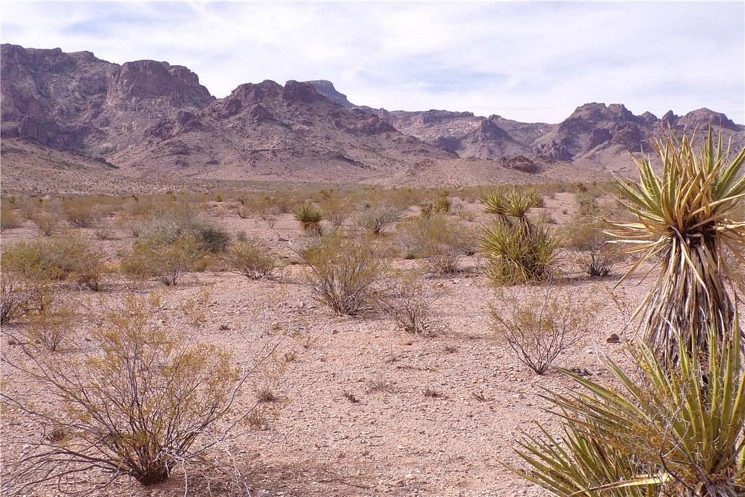 2.35 Acres of Land for Sale in Golden Valley, Arizona