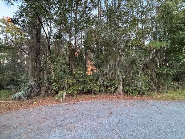 0.5 Acres of Residential Land for Sale in Brunswick, Georgia