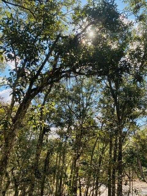 5 Acres of Land for Sale in Hudson, Florida