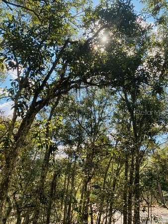 5 Acres of Land for Sale in Hudson, Florida