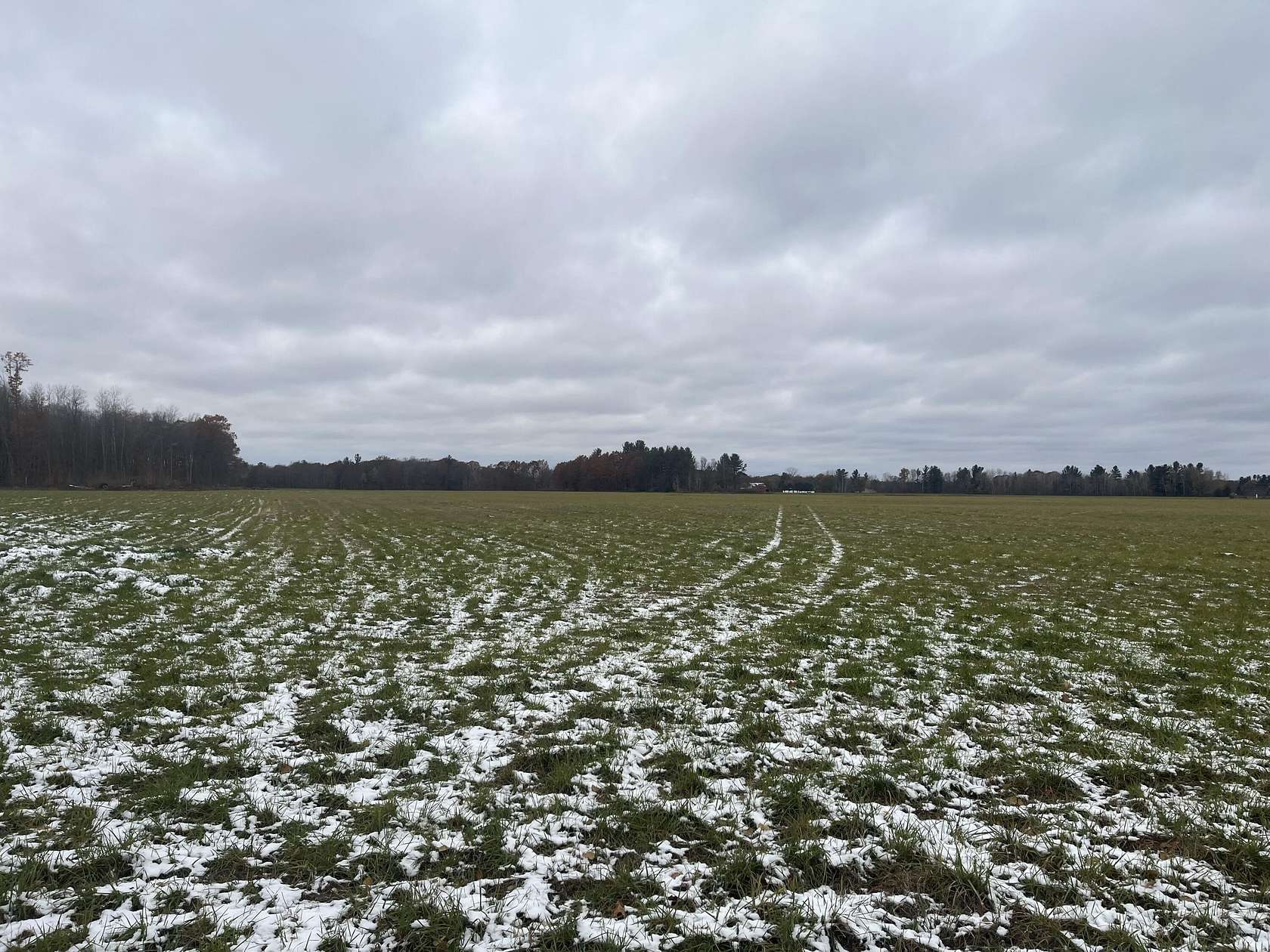 40 Acres of Land for Sale in Lakeview, Michigan