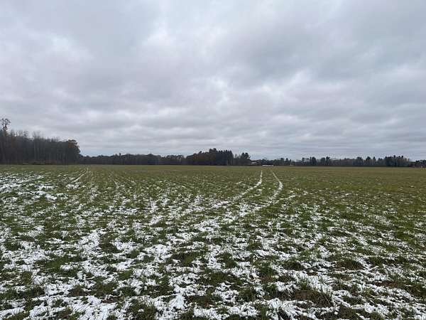 40 Acres of Land for Sale in Lakeview, Michigan