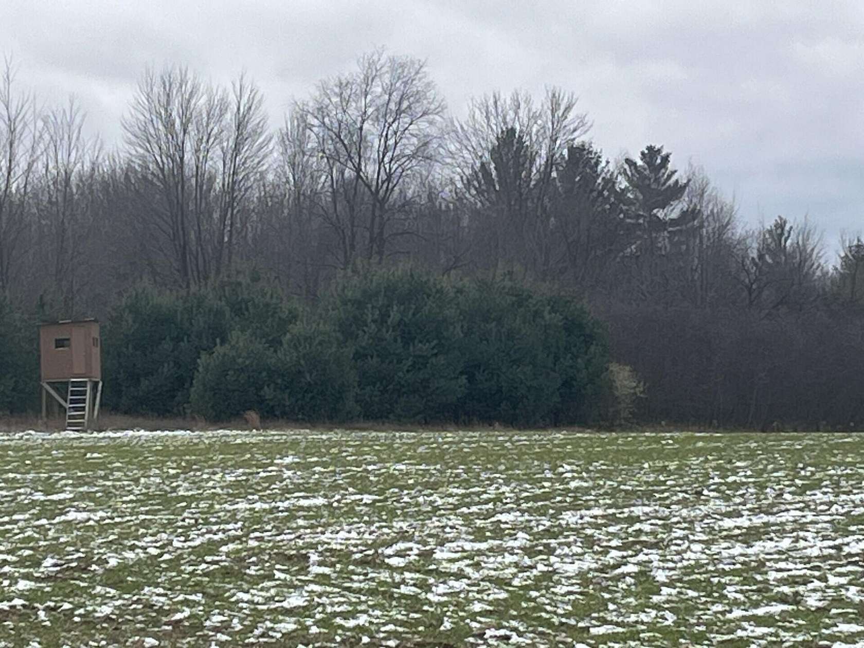 22 Acres of Recreational Land & Farm for Sale in Lakeview, Michigan