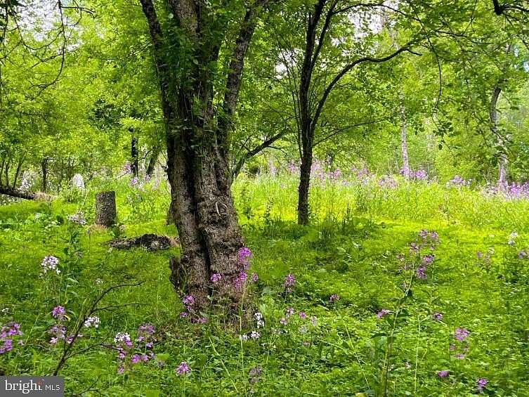 8.8 Acres of Residential Land for Sale in McHenry, Maryland