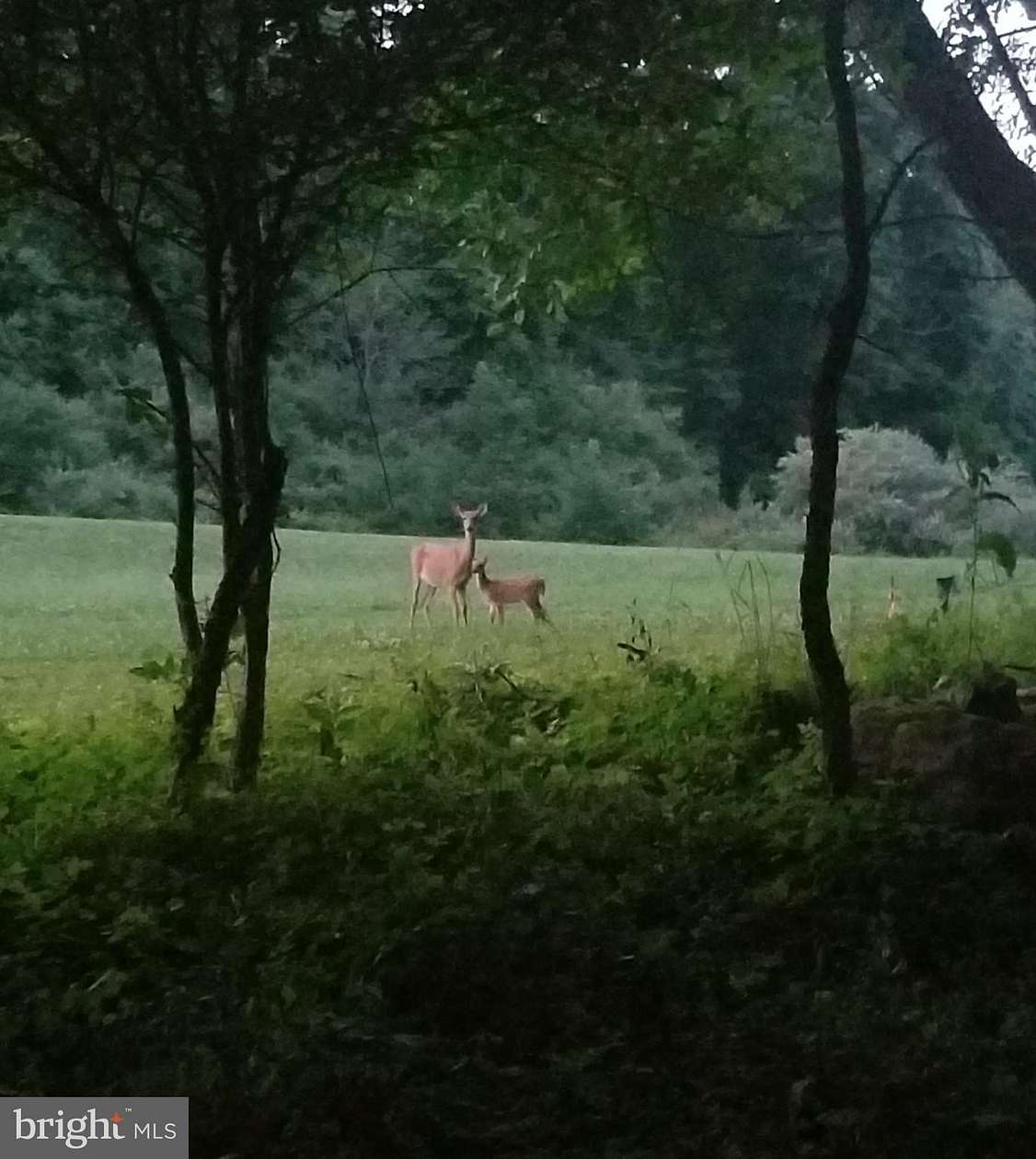 8.8 Acres of Residential Land for Sale in McHenry, Maryland