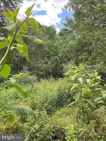 8.8 Acres of Residential Land for Sale in McHenry, Maryland