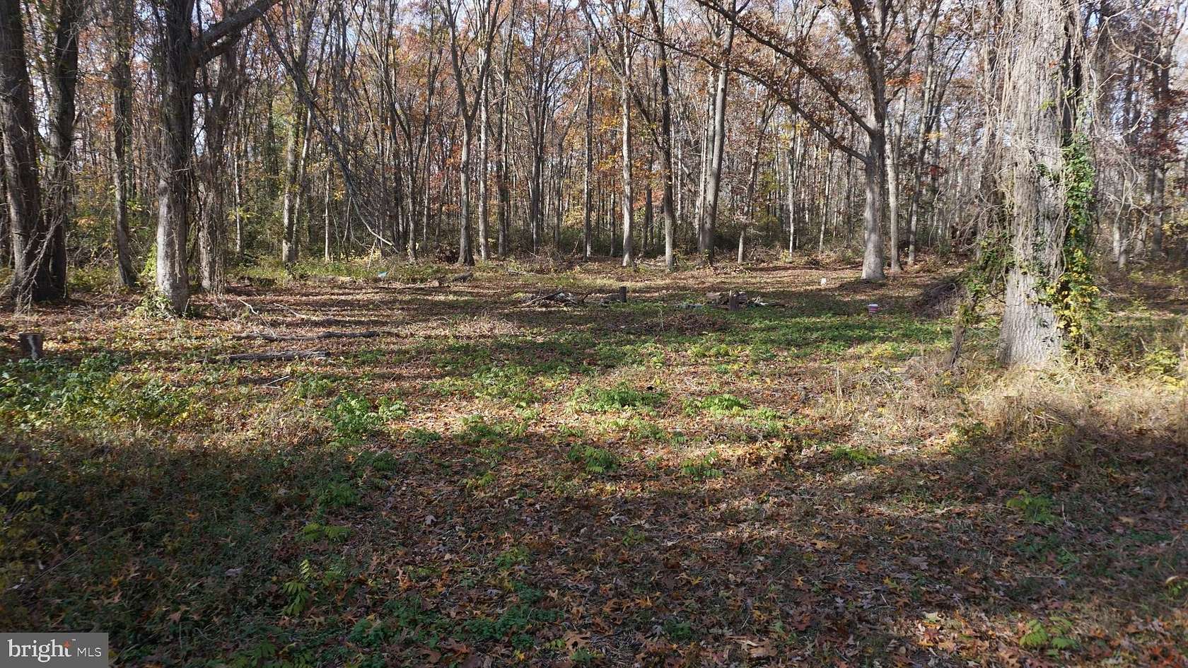 0.97 Acres of Residential Land for Sale in Bridgeton, New Jersey