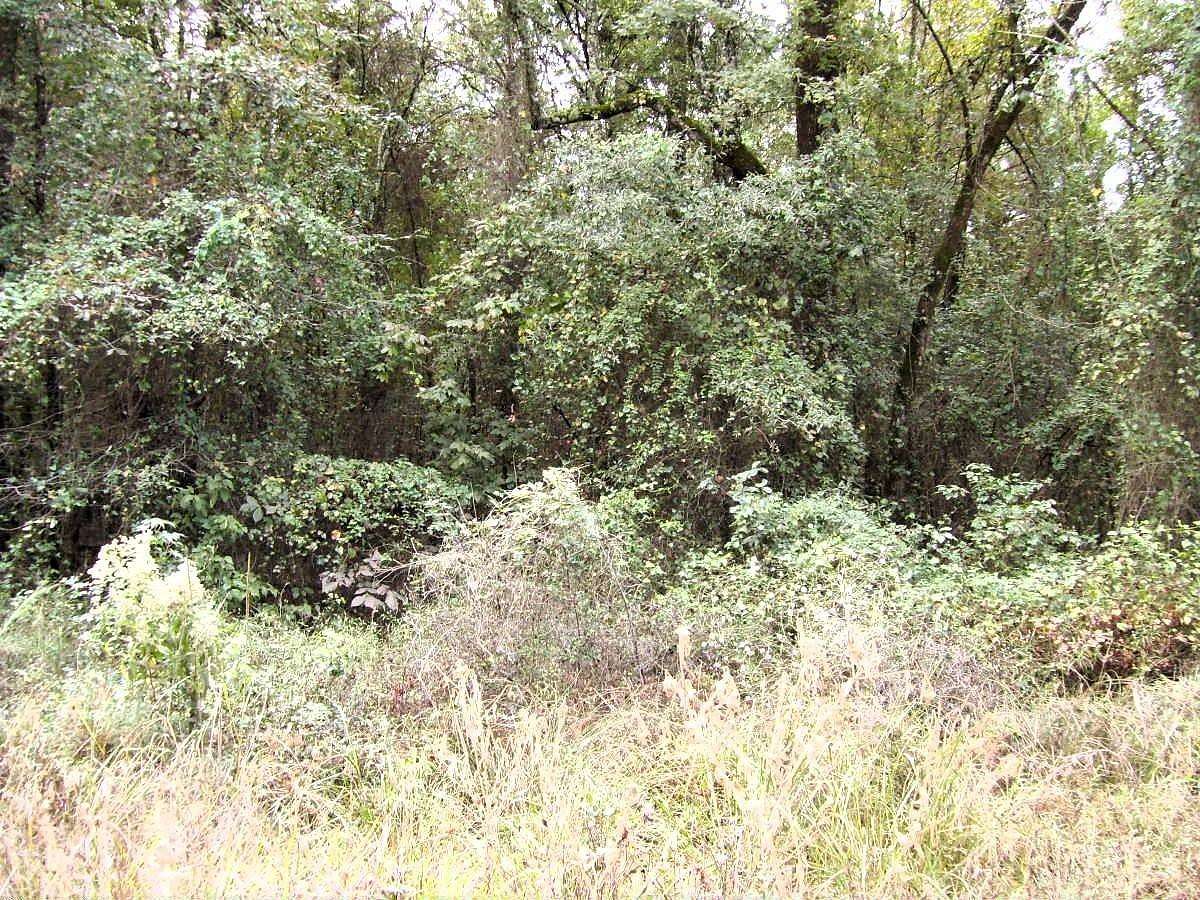 15 Acres of Land for Sale in Foreman, Arkansas