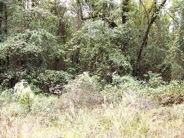 15 Acres of Land for Sale in Foreman, Arkansas