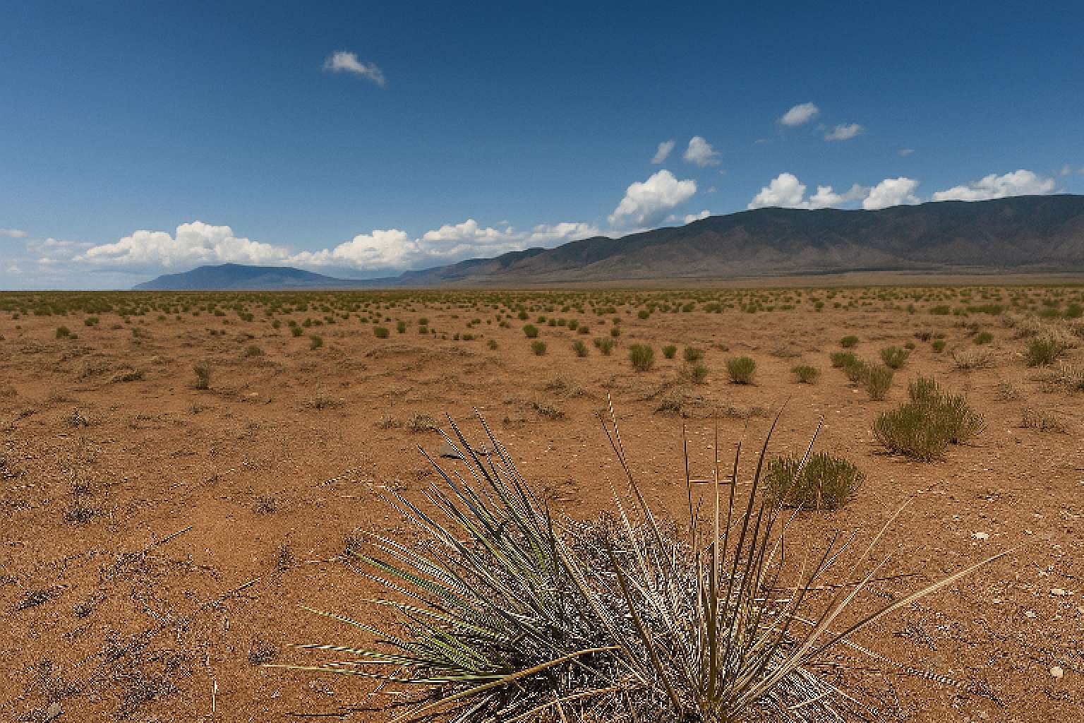0.78 Acres of Residential Land for Sale in Canyon del Rio, New Mexico