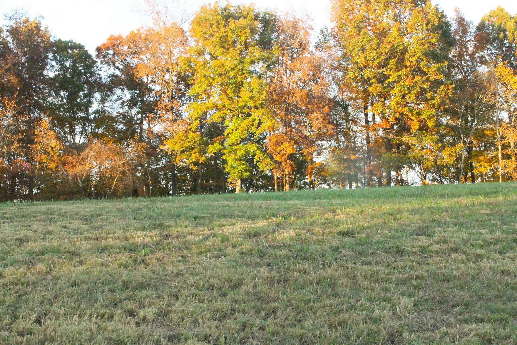 9 Acres of Residential Land for Sale in Adams, Tennessee