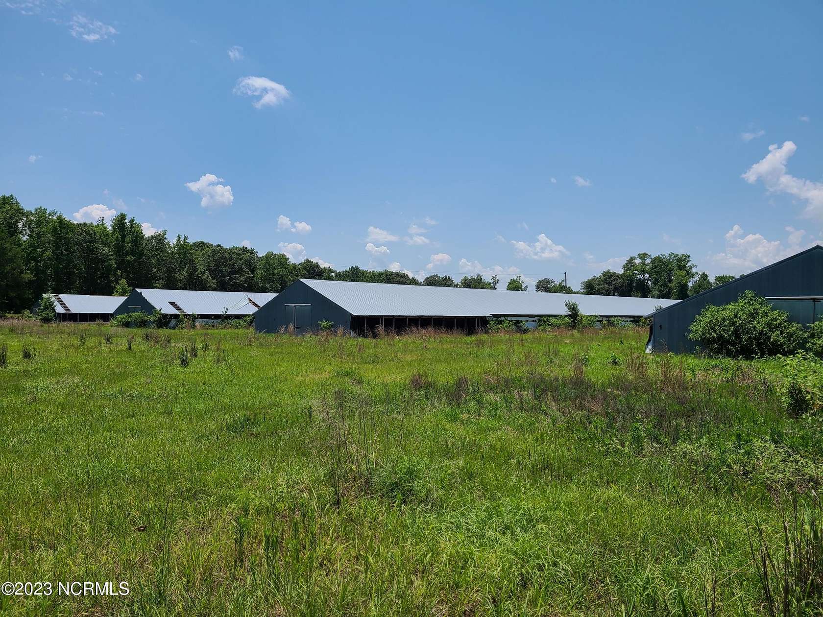 61.5 Acres of Agricultural Land for Sale in Clinton, North Carolina