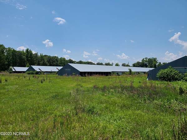 61.5 Acres of Agricultural Land for Sale in Clinton, North Carolina