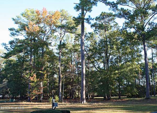 0.41 Acres of Residential Land for Sale in Ocean Isle Beach, North Carolina