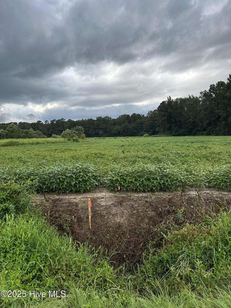 1 Acre of Residential Land for Sale in Wallace, North Carolina