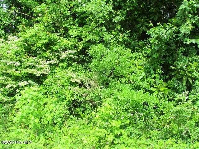 1 Acre of Residential Land for Sale in Garland, North Carolina