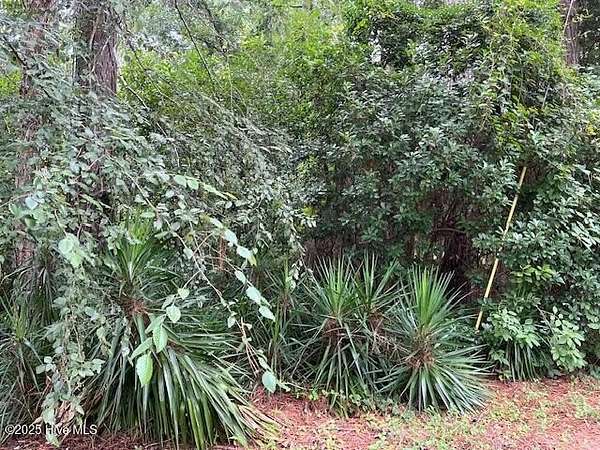 0.36 Acres of Residential Land for Sale in Pinetops, North Carolina