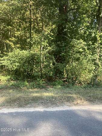 1.3 Acres of Residential Land for Sale in Laurinburg, North Carolina