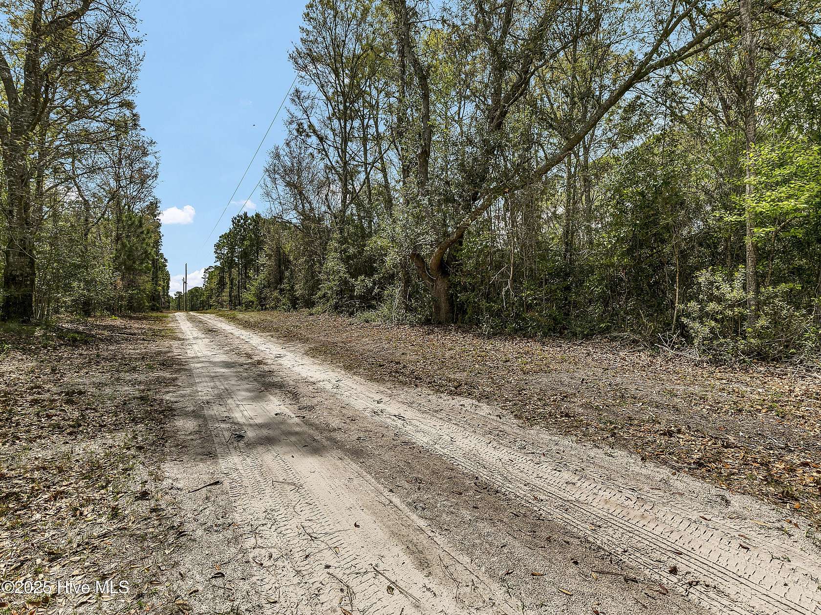 10 Acres of Residential Land for Sale in Hampstead, North Carolina