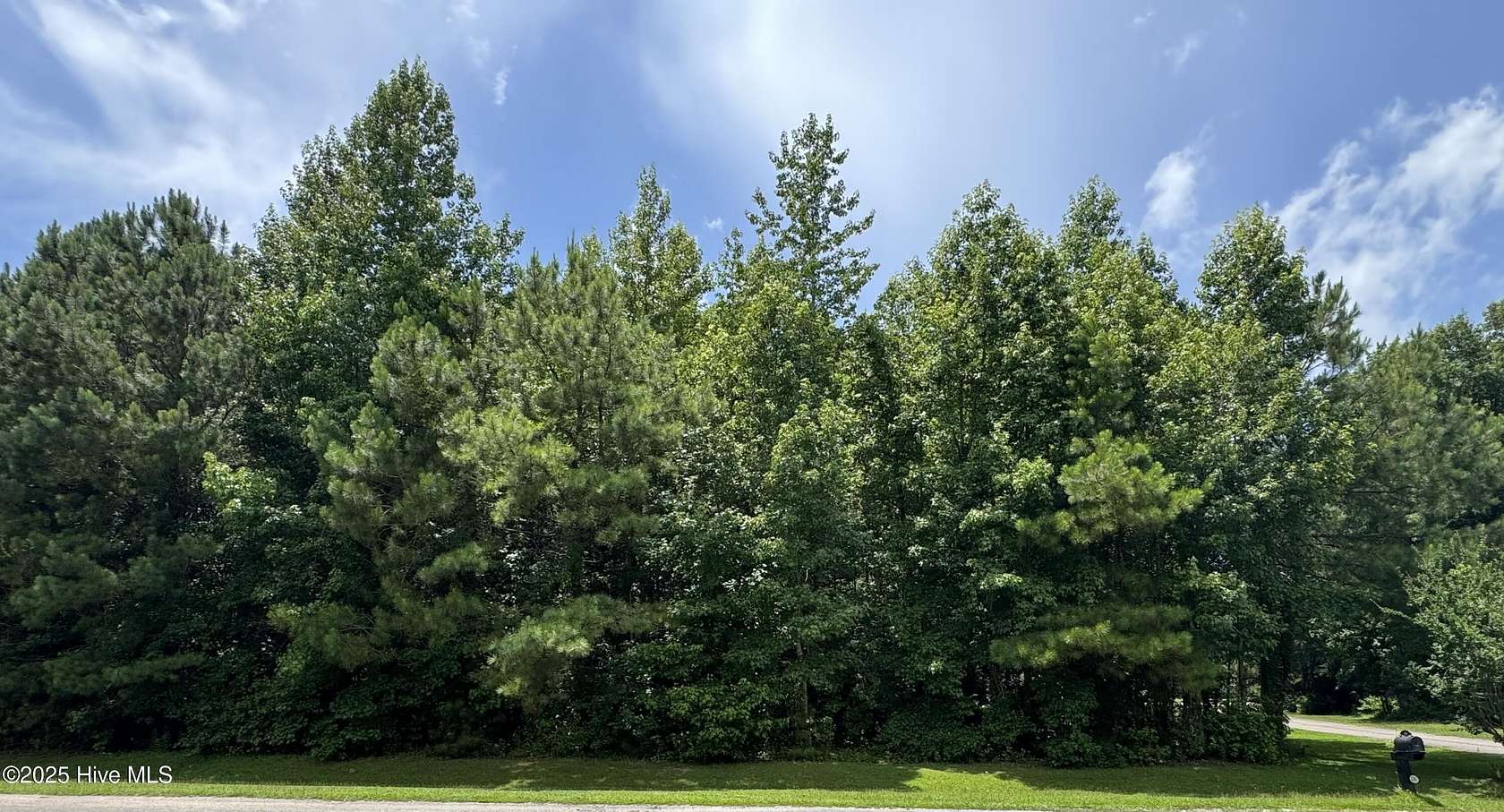 3.82 Acres of Residential Land for Sale in Whiteville, North Carolina