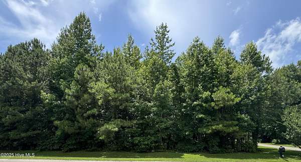 3.82 Acres of Residential Land for Sale in Whiteville, North Carolina