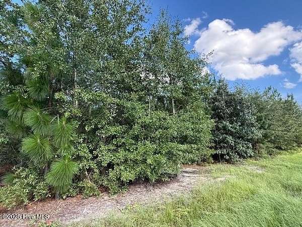 7.5 Acres of Residential Land for Sale in Laurinburg, North Carolina