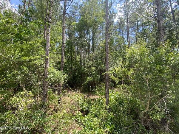 0.5 Acres of Land for Sale in Leland, North Carolina