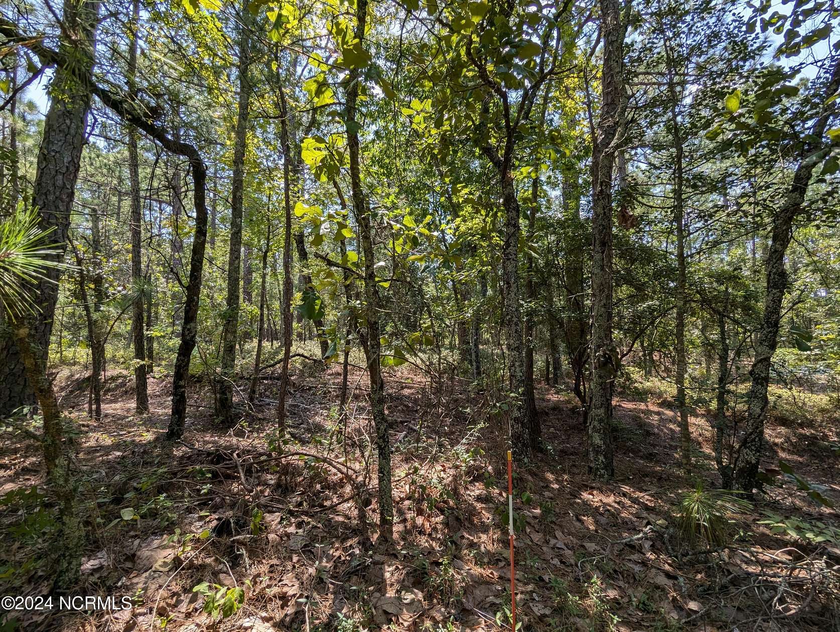 0.52 Acres of Residential Land for Sale in Vass, North Carolina