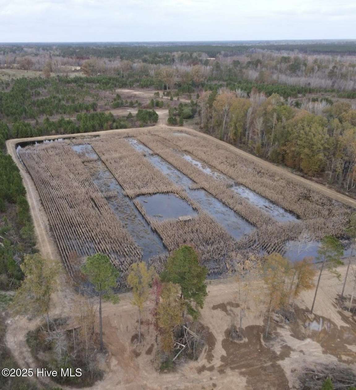 152 Acres of Recreational Land for Sale in White Oak, North Carolina