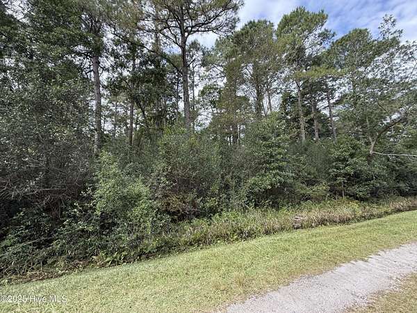 0.37 Acres of Land for Sale in Boiling Spring Lakes, North Carolina