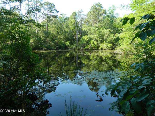 90 Acres of Land for Sale in Pinebluff, North Carolina