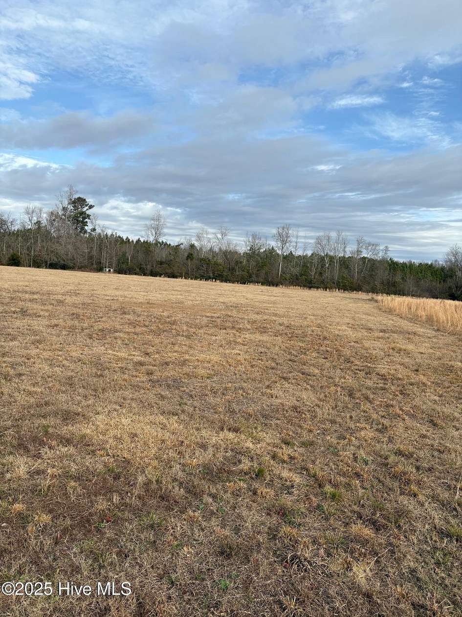 21 Acres of Agricultural Land for Sale in Tabor City, North Carolina
