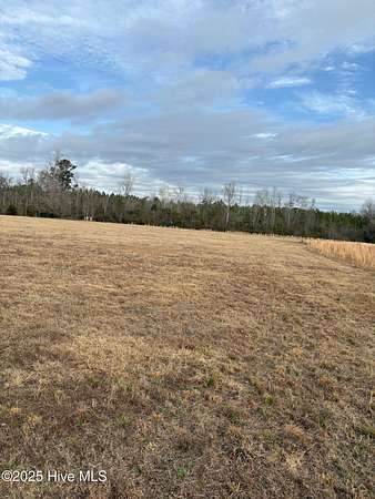 21 Acres of Agricultural Land for Sale in Tabor City, North Carolina