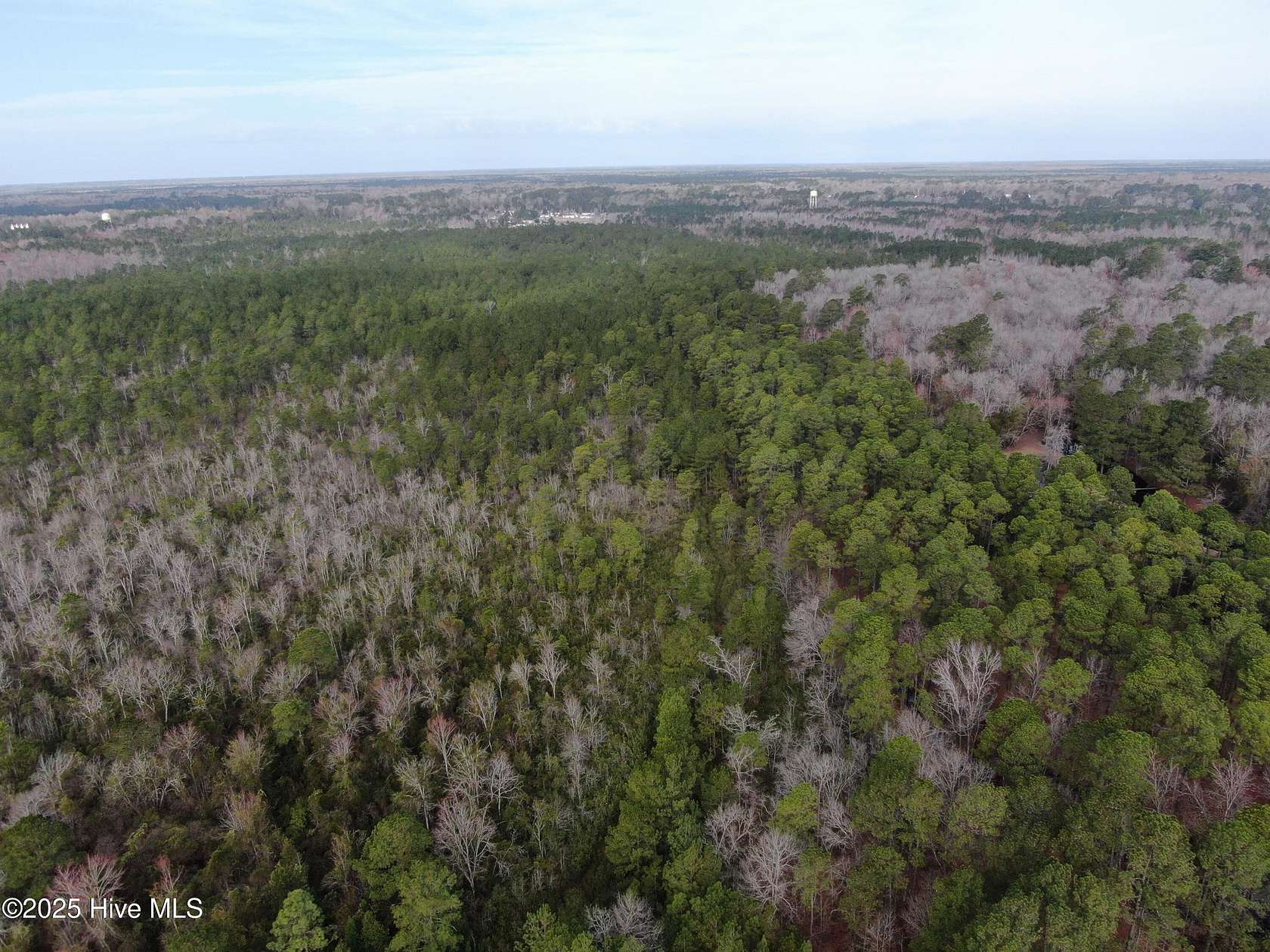 100 Acres of Recreational Land for Sale in Fair Bluff, North Carolina